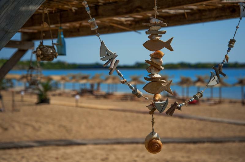 Black Sea Star Черноморец Екстериор снимка